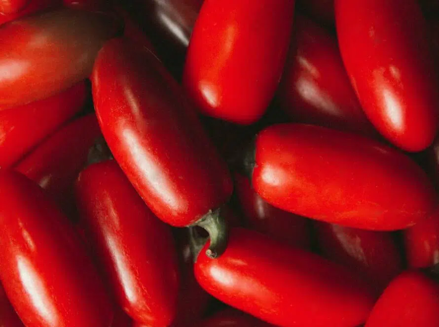 Tomate San Marzano